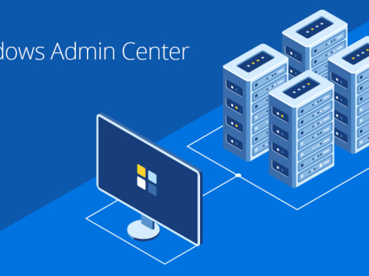 MS Windows Administrator
